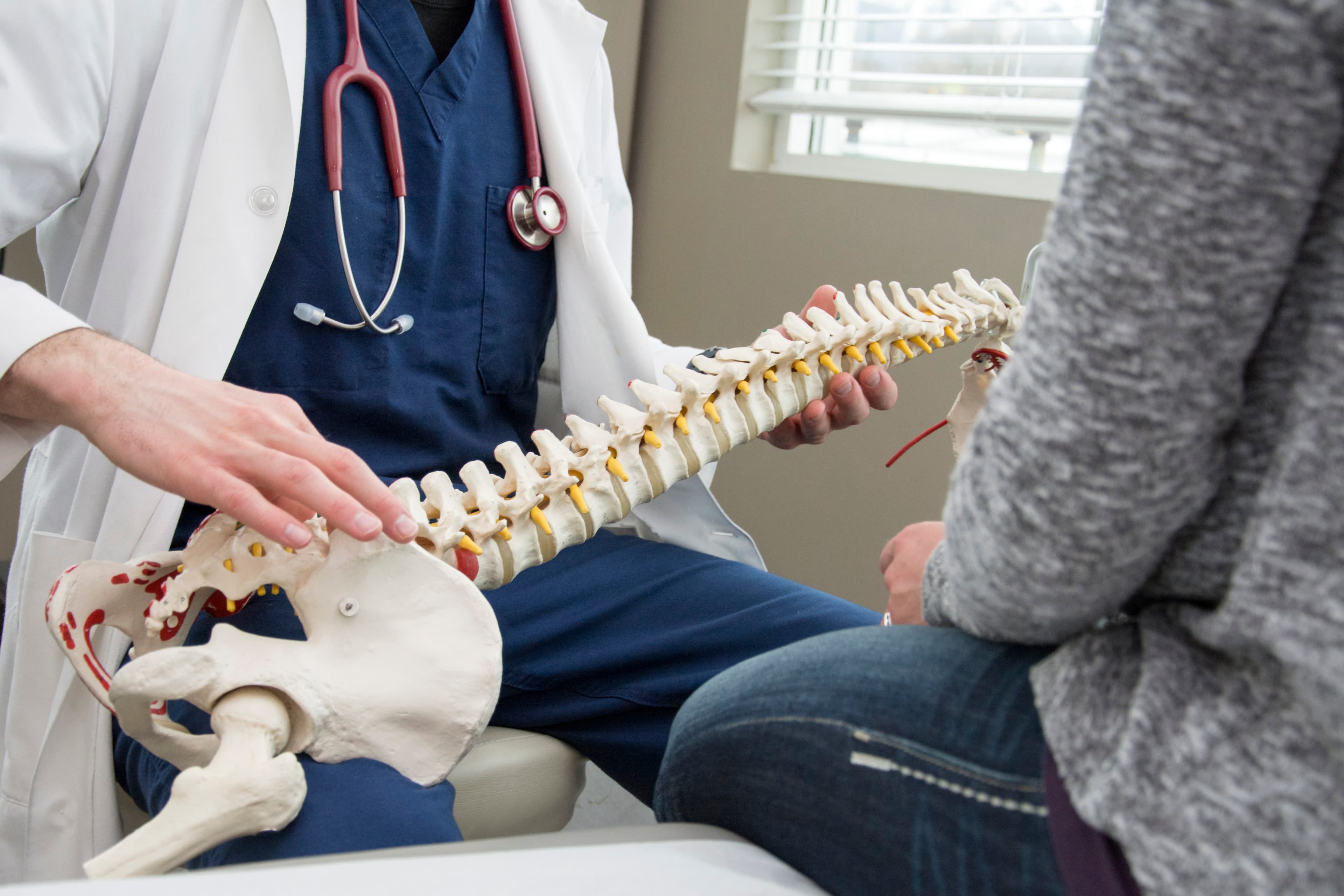 Doctor explaining spine anatomy to patient